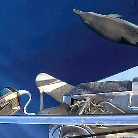 Sailing In Croatia - Private Sailing Yacht 14m