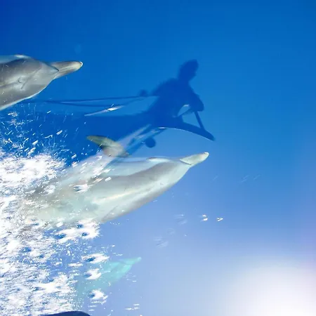 Sailing In Croatia - Private Sailing Yacht 14m 度假居